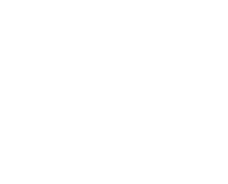 Logo Diego Souza